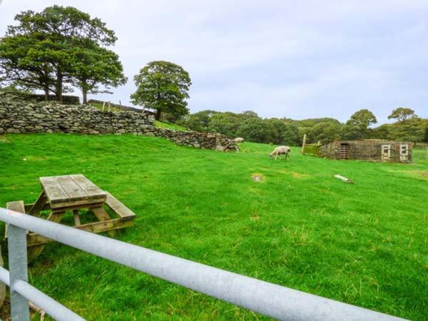 Villa Y Bwthyn Llanbedr  Exterior foto